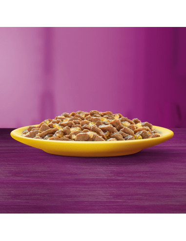 WHISKAS hõrgutised (80x85g) Linnuliha -...