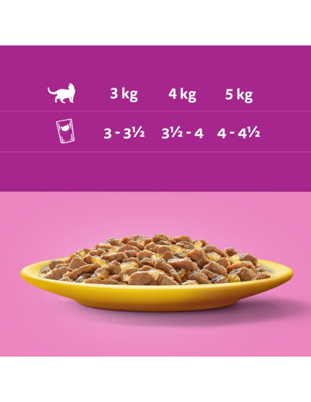 WHISKAS hõrgutised (80x85g) Linnuliha - Märgtoit Täiskasvanud Kassidele Kastmes (kana, part, linnuliha, kalkun)