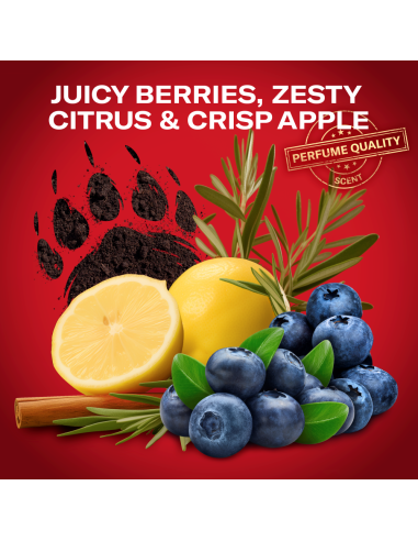 Old Spice Bearglove Meeste Dušigeel Ja Šampoon,...