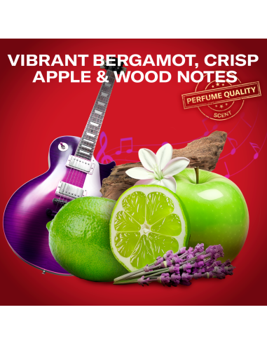 KAST 4 tk! Old Spice Rockstar Meeste Dušigeel...