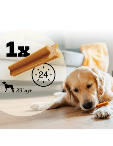 Pedigree Dentastix Large koerte maiused...