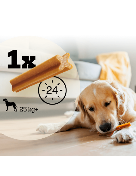 Pedigree Dentastix Large koerte maiused suurtele tõugudele 56 tk