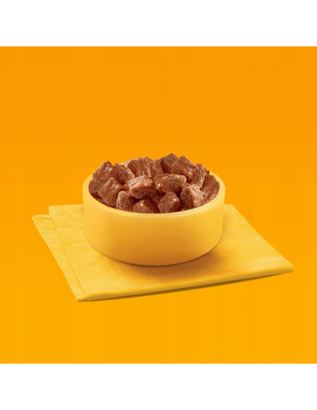 PEDIGREE koerte konserv kastmes erinevad maitsed (40x100g)