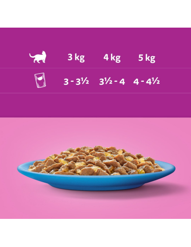 Whiskas Adult kassikonserv tarretises kalaga...