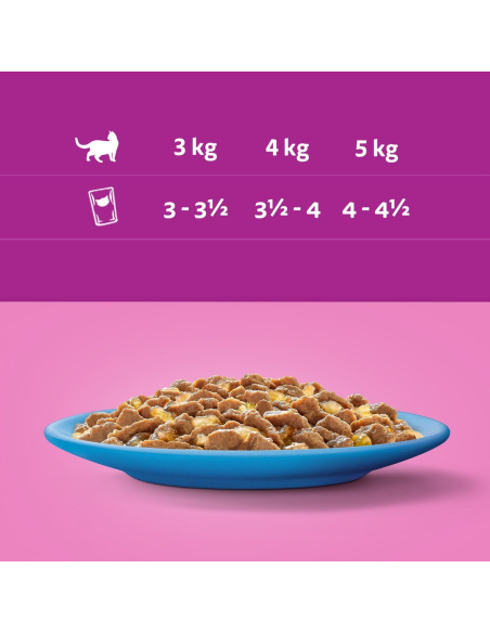 Whiskas Adult kassikonserv tarretises kalaga Mix (40x85g)