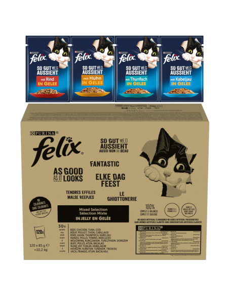 Felix Fantastic kassitoit tarretises erinevad maitsed (120x85g)