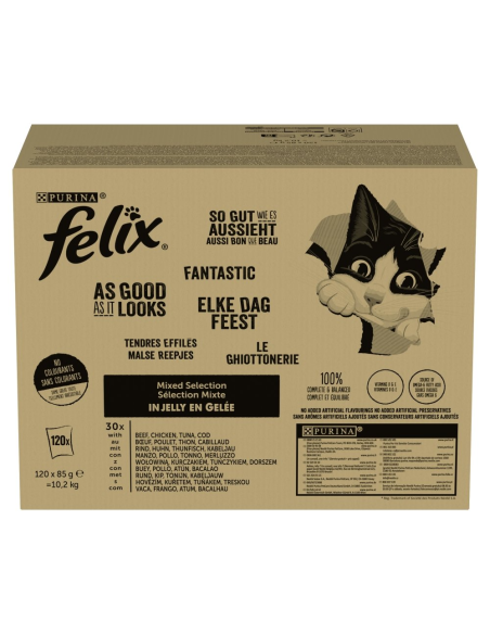 Felix Fantastic kassitoit tarretises erinevad maitsed (120x85g)