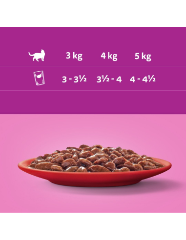 WHISKAS kassikonserv kastmes Mix (40x85g)
