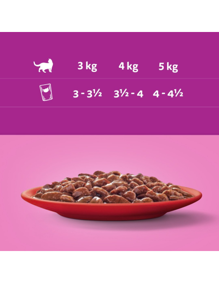 WHISKAS kassikonserv kastmes Mix (40x85g)