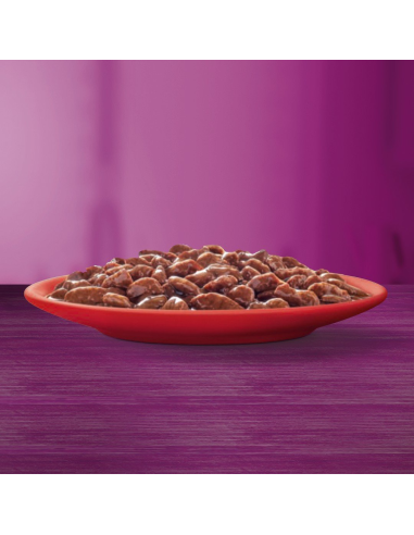 WHISKAS kassikonserv kastmes Mix (40x85g)