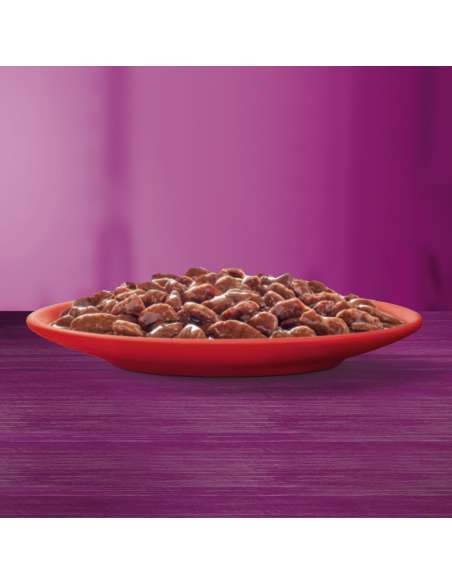 WHISKAS kassikonserv kastmes Mix (40x85g)