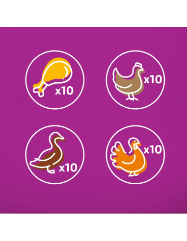 Whiskas Adult Pure Delight kassikonserv...