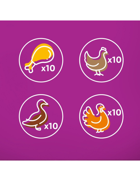 Whiskas Adult Pure Delight kassikonserv tarretises Mix 40x85g