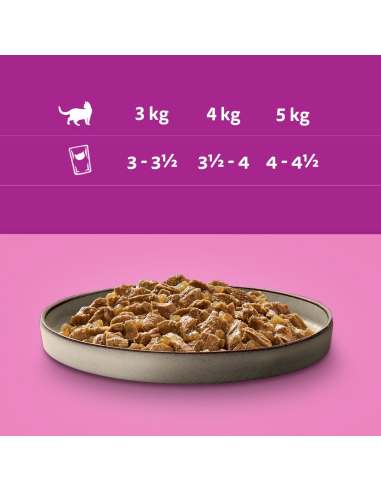 Whiskas Adult Pure Delight kassikonserv...