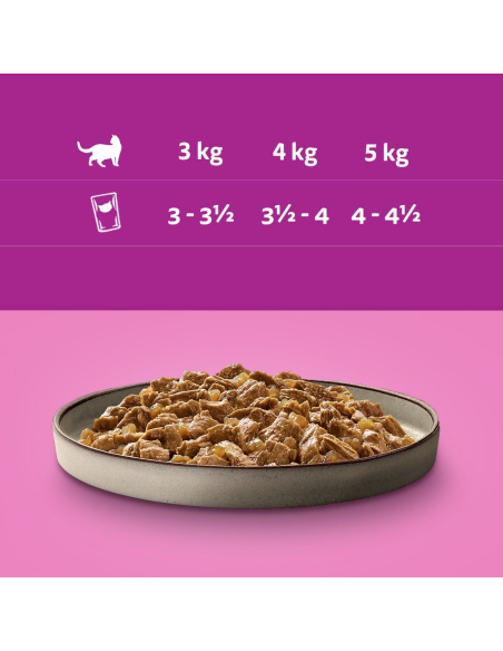 Whiskas Adult Pure Delight kassikonserv tarretises Mix 40x85g