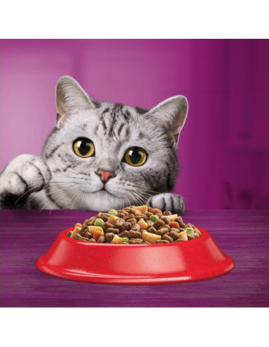 WHISKAS Adult kuivtoit kassidele veiseliha ja...