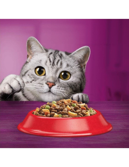 WHISKAS Adult kuivtoit kassidele veiseliha ja juurviljadega 14 kg