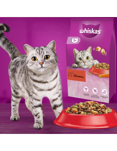 WHISKAS Adult kuivtoit kassidele veiseliha ja juurviljadega 14 kg