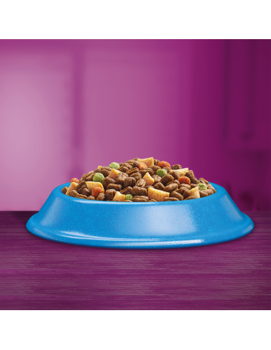 WHISKAS Adult kassi kuivtoit tuunikalaga 14 kg