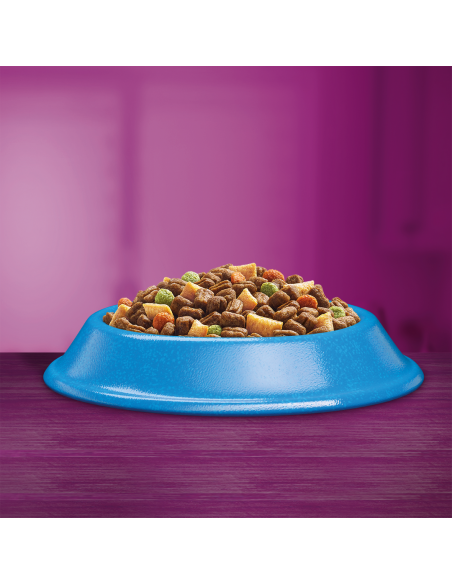 WHISKAS Adult kassi kuivtoit tuunikalaga 14 kg