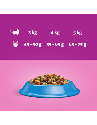 WHISKAS Adult kassi kuivtoit tuunikalaga 14 kg