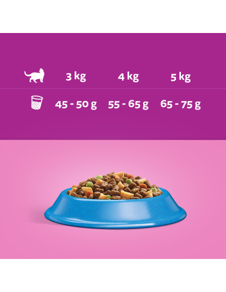 WHISKAS Adult kassi kuivtoit tuunikalaga 14 kg