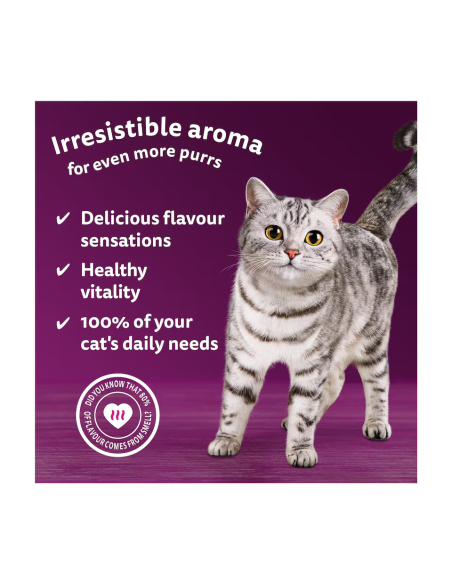 Whiskas kassikonserv kastmes erinevad maitsed 40x85g