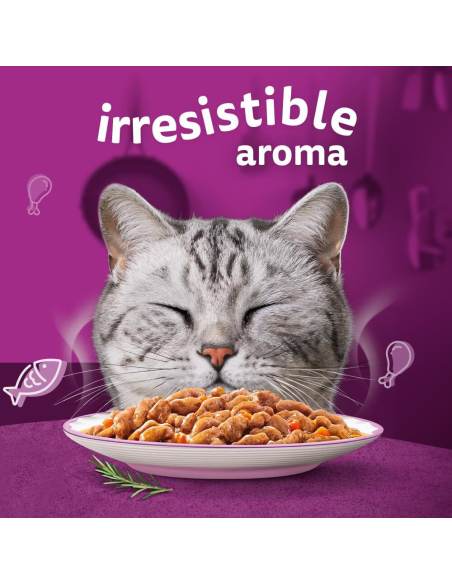 Whiskas kassikonserv kastmes erinevad maitsed 40x85g