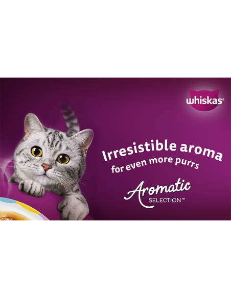 Whiskas kassikonserv kastmes erinevad maitsed 40x85g