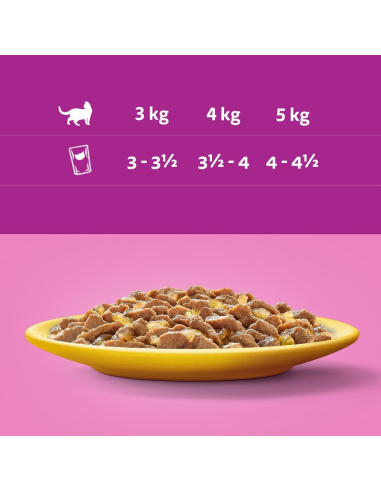 WHISKAS hõrgutised (80x85g) Linnuliha -...