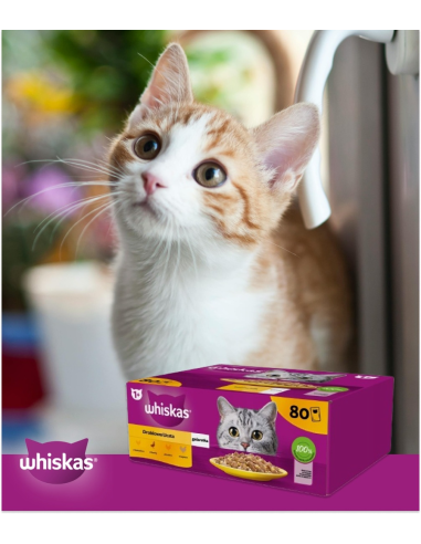 WHISKAS hõrgutised (80x85g) Linnuliha -...