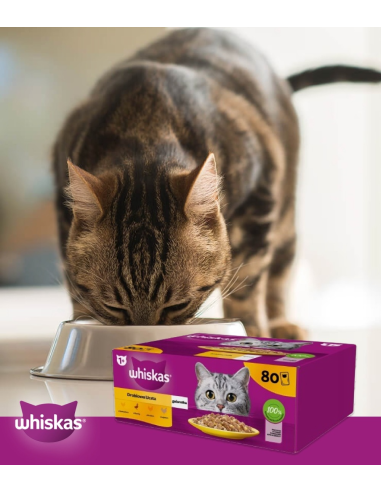 WHISKAS hõrgutised (80x85g) Linnuliha -...