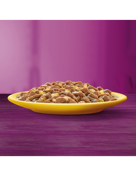 WHISKAS hõrgutised (80x85g) Linnuliha - Märgtoit Täiskasvanud Kassidele Kastmes (kana, part, linnuliha, kalkun)