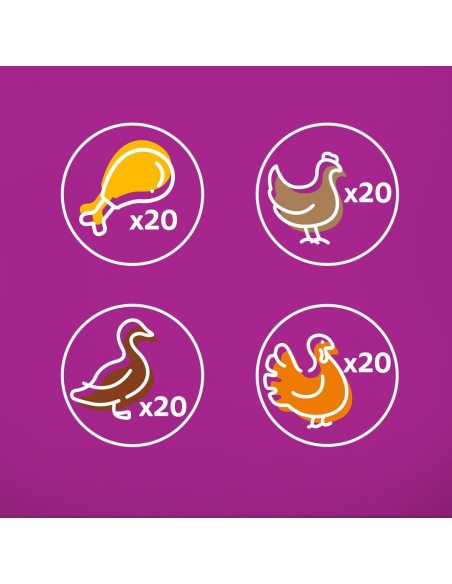 WHISKAS hõrgutised (80x85g) Linnuliha - Märgtoit Täiskasvanud Kassidele Kastmes (kana, part, linnuliha, kalkun)