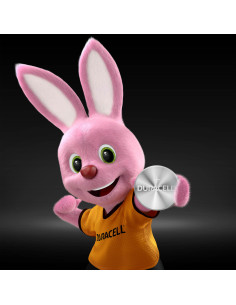 KAST 10tk! Duracell patarei...