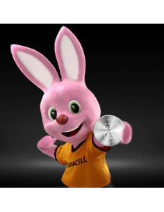 KAST 10 tk! Duracell...