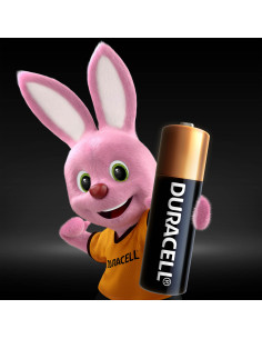 KAST 10 tk! Duracell...