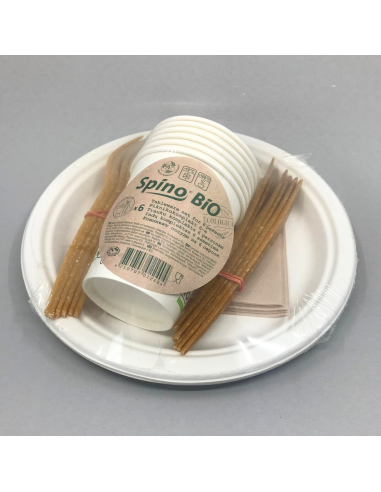 KAST 30 tk! Spino BIO piknikukomplekt 6 inimesele