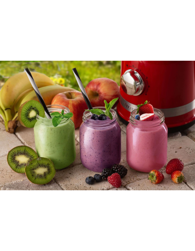 585 Ariete kannblender Moderna White 1000W