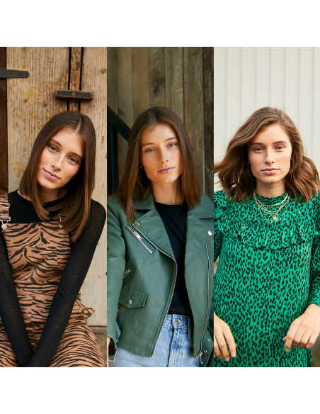 BaByliss Juuksekoolutaja Air Style 1000 AS136E