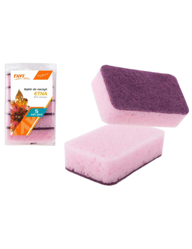 Ravi küürimisšvamm Etna 5 tk