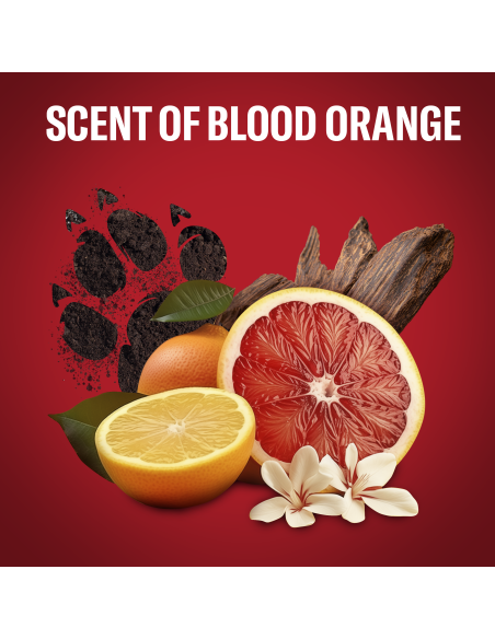 Old Spice Tigerclaw meeste dušigeel Ja šampoon, 400 ml