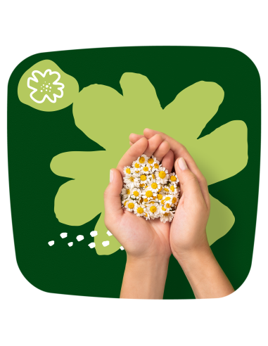 Naturella Ultra Night Size 4 Tiibadega...