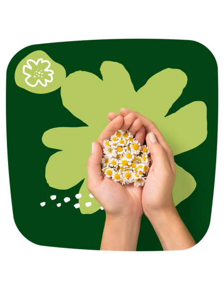 Naturella Ultra Night Size 4 Tiibadega Hügieenisidemed, 28 tk