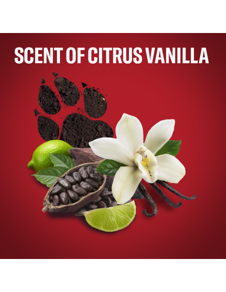 KAST 4 tk! Old Spice Night Panther meeste dušigeel ja šampoon, 1000ml