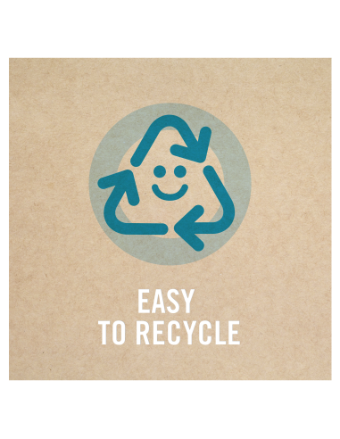 Ambi Pur Old Spice auto õhuvärskendaja, 2 tk