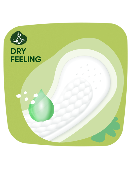 KAST 8 tk! Naturella Light Camomile Pesukaitsmed, 52 tk