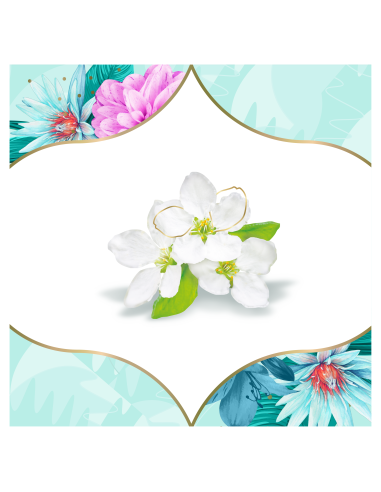 KAST 5 tk! Discreet  Spring Breeze pesukaitsmed...