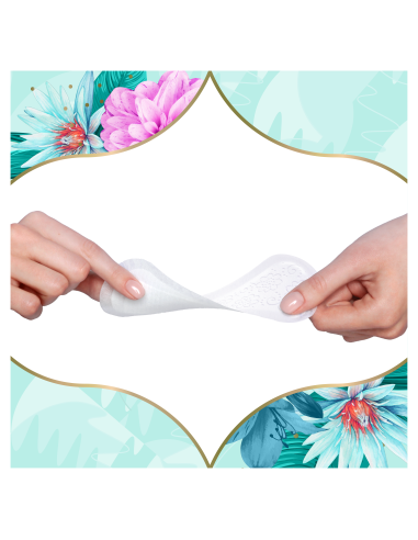 KAST 5 tk! Discreet Multiform Waterlily...