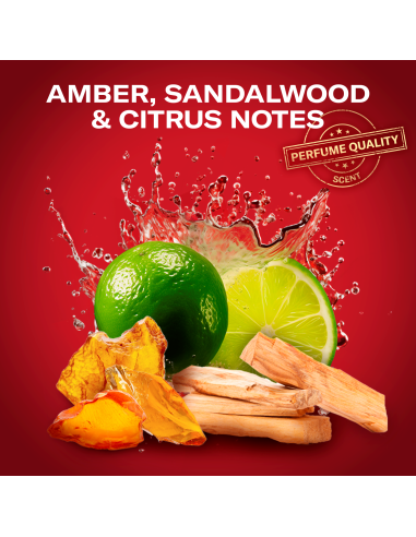 Old Spice kinkekomplekt Sports Fan Whitewater